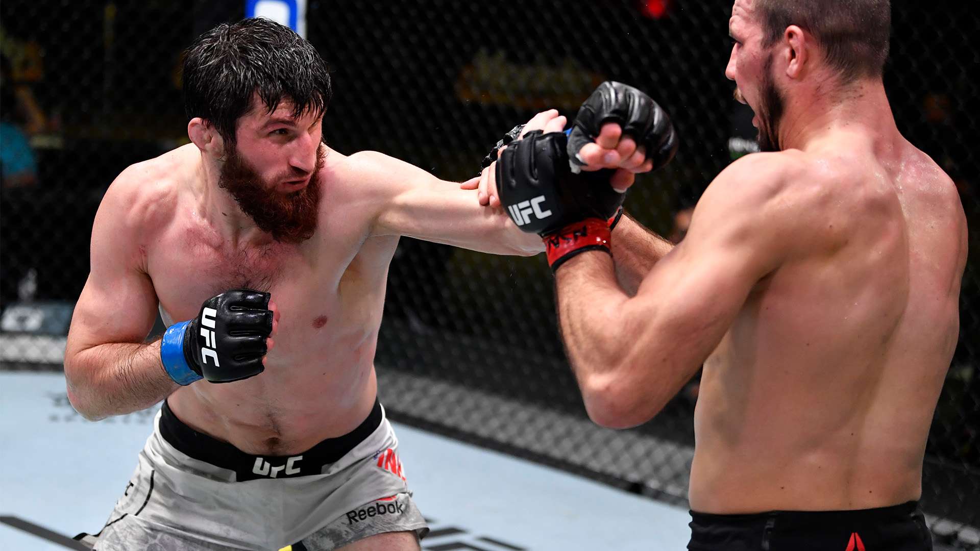 部分球迷表 部分球迷表